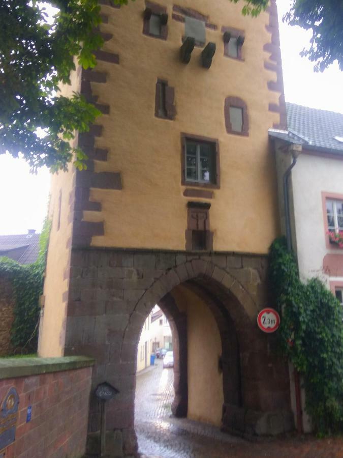 Living-In-History: Heidi Braun Cottage 杜德尔多夫 外观 照片